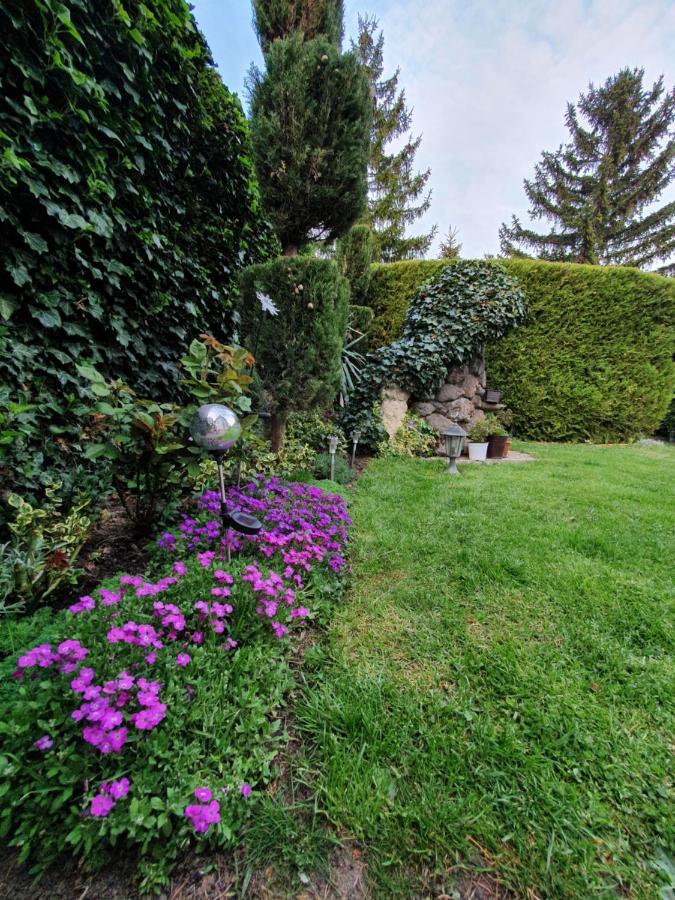 Apartman Ilike Balatonfüred Esterno foto